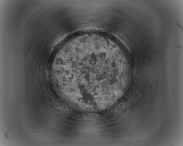 X0000097670823200803281010