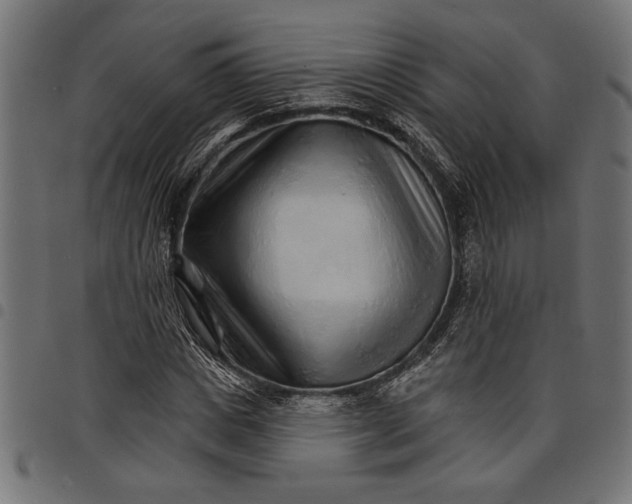X0000097670825200803281010