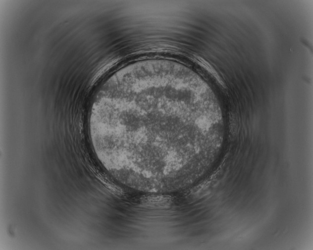 X0000097670826200803281010