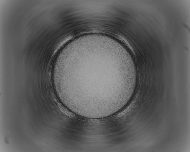 X0000097670827200803281011