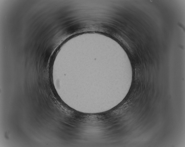 X0000097670828200803281011