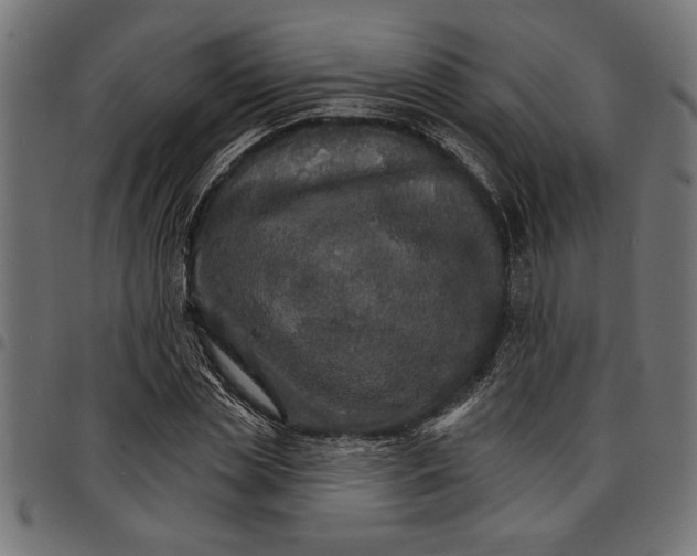 X0000097670829200803281011