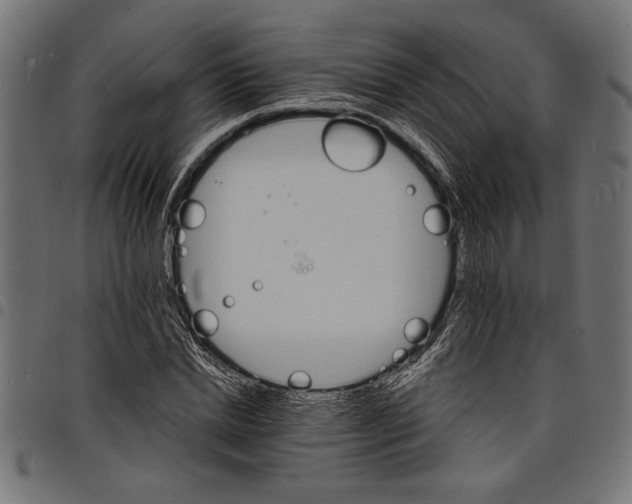 X0000097670830200803281011
