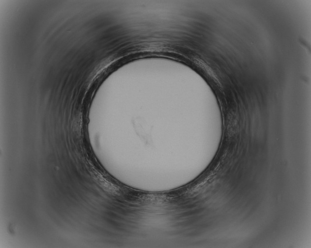 X0000097670831200803281011