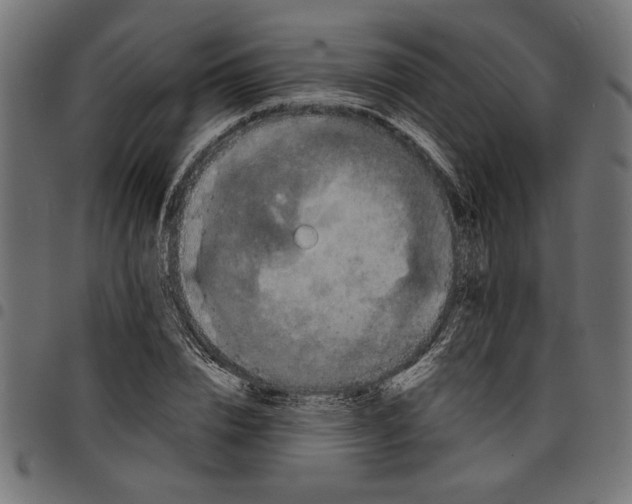 X0000097670832200803281011