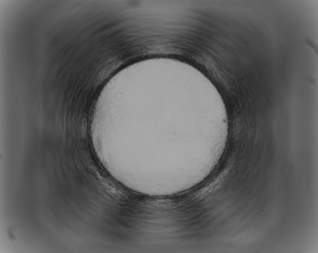 X0000097670833200803281011