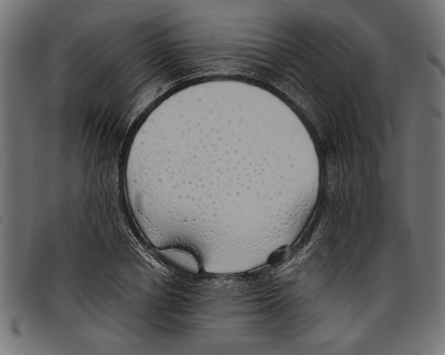 X0000097670834200803281011