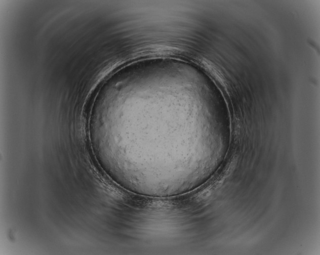 X0000097670835200803281011