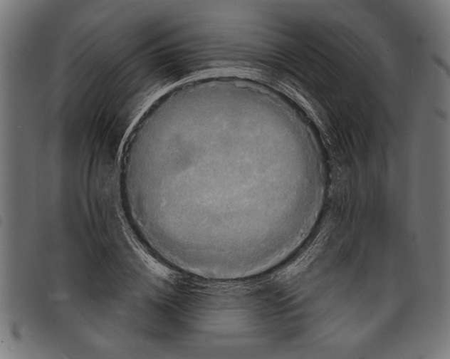 X0000097670836200803281011