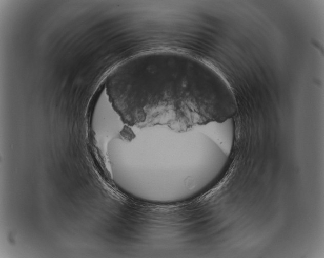 X0000097670837200803281011