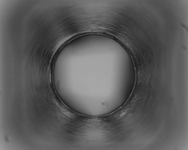 X0000097670838200803281011