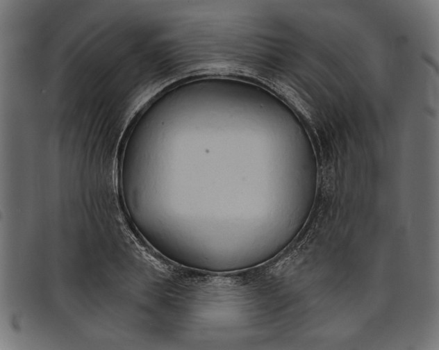 X0000097670839200803281011