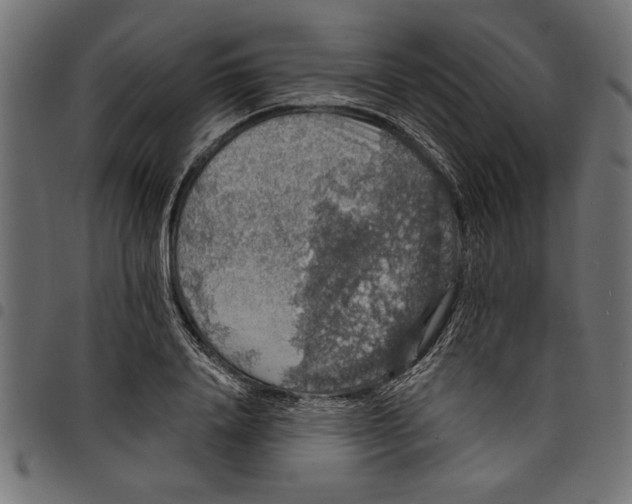 X0000097670840200803281011
