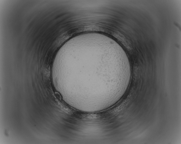 X0000097670841200803281011