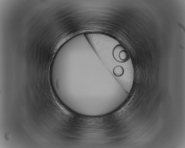 X0000097670842200803281011