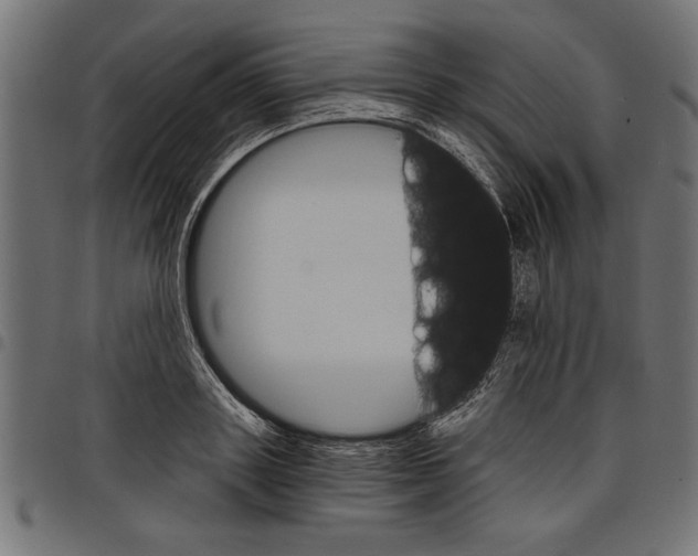X0000097670843200803281011