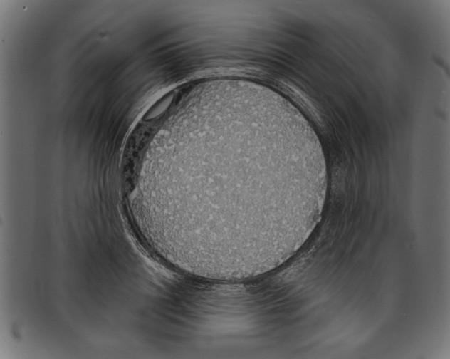 X0000097670844200803281011