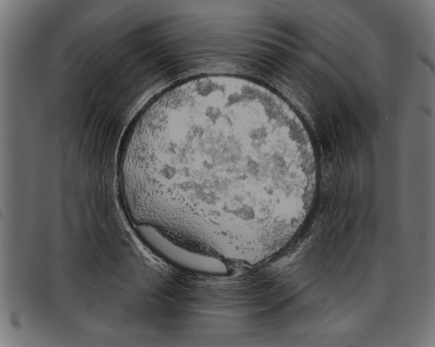 X0000097670845200803281011