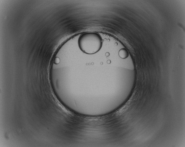 X0000097670846200803281011