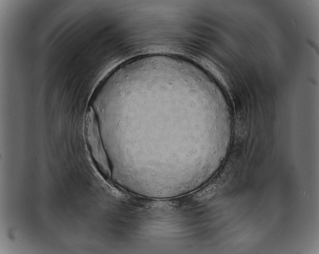 X0000097670847200803281011