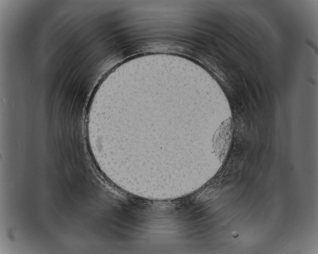 X0000097670848200803281011