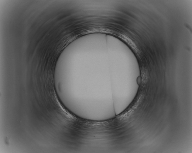 X0000097670849200803281011