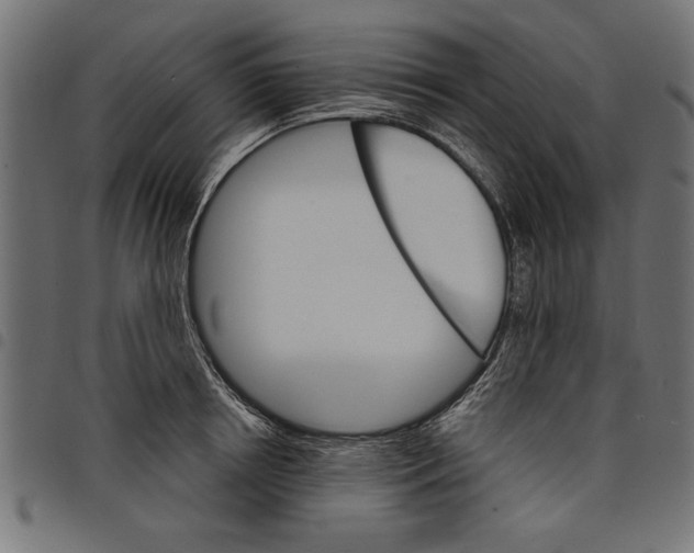 X0000097670850200803281011