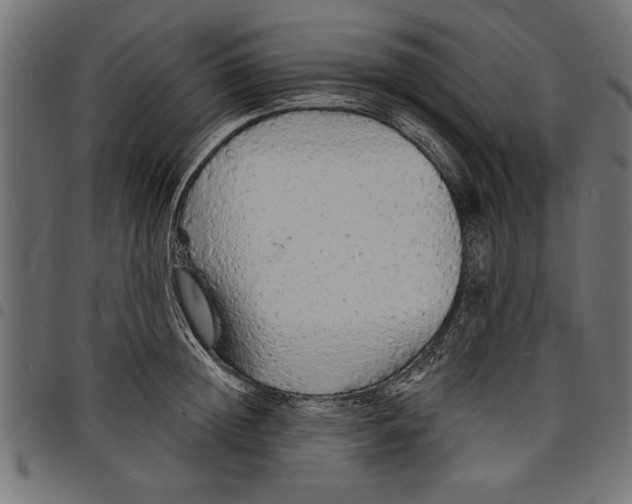 X0000097670852200803281011