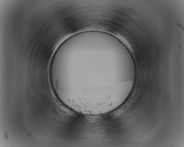 X0000097670854200803281011