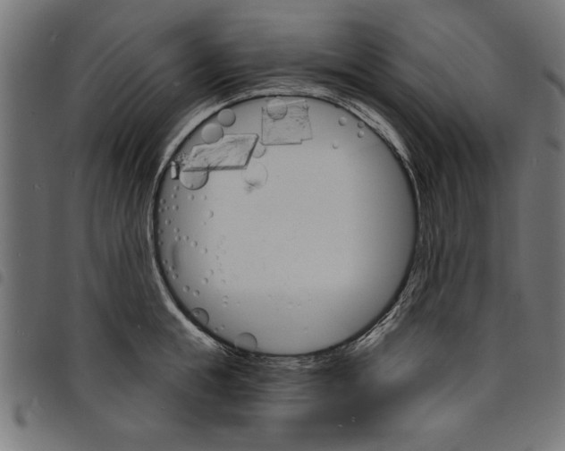 X0000097670855200803281011