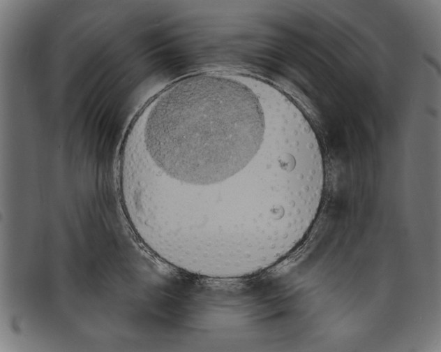X0000097670856200803281011