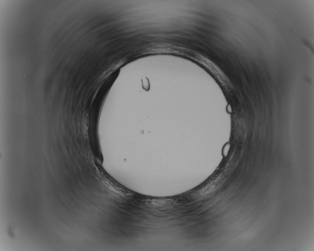 X0000097670857200803281011