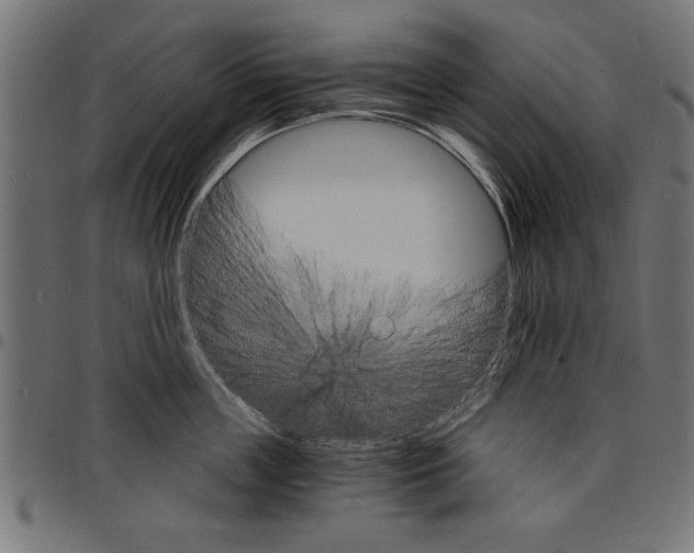 X0000097670859200803281011