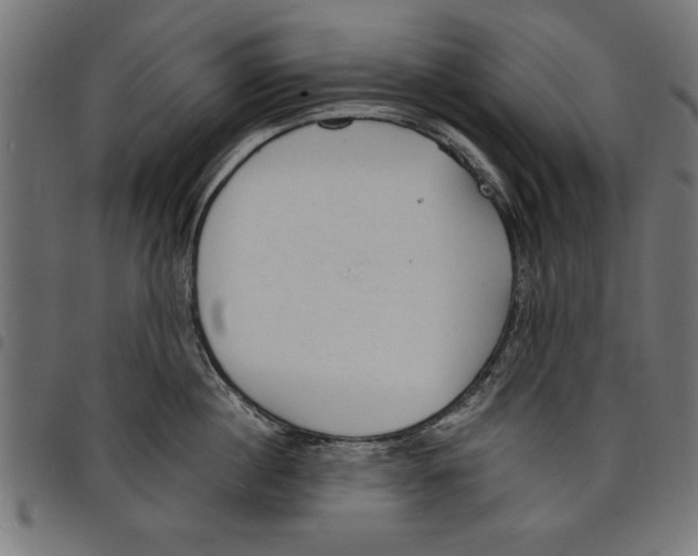 X0000097670860200803281011