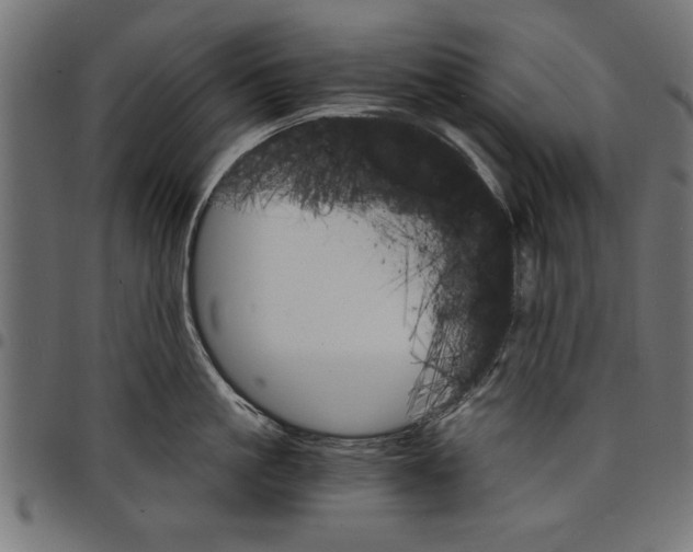 X0000097670861200803281011