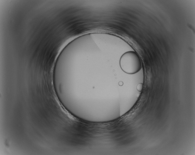 X0000097670862200803281011