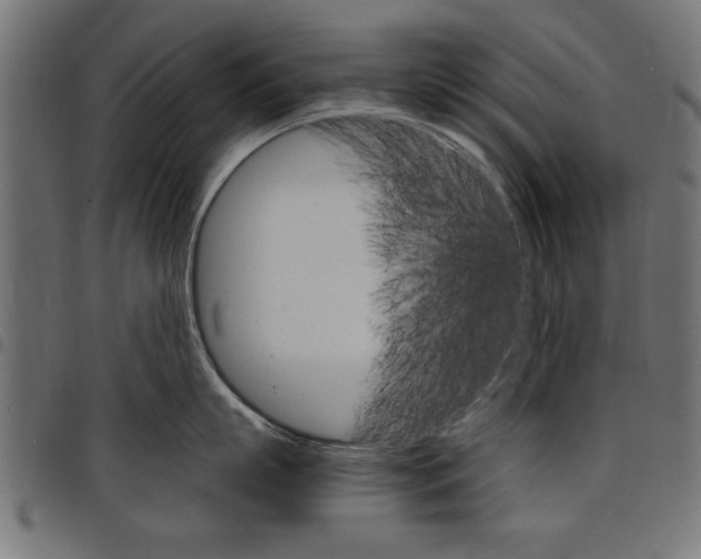 X0000097670863200803281011
