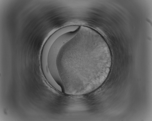 X0000097670864200803281011