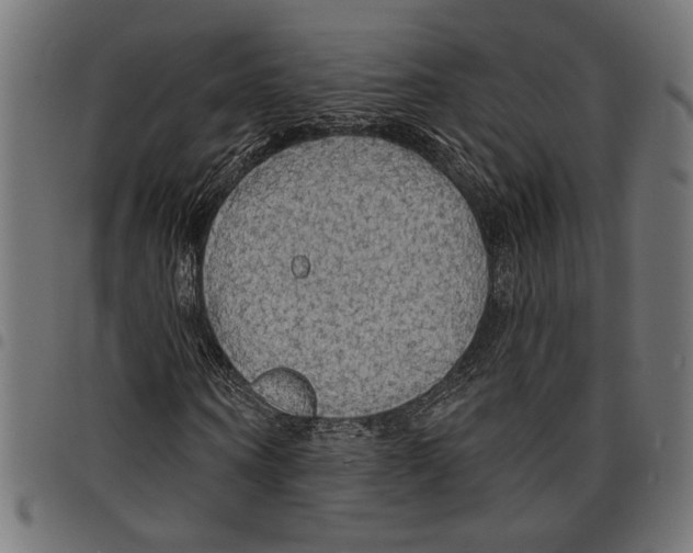 X0000097670866200803281010