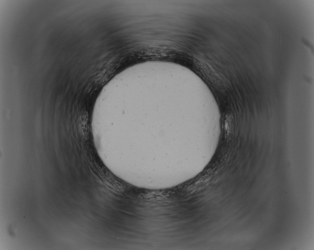 X0000097670867200803281010