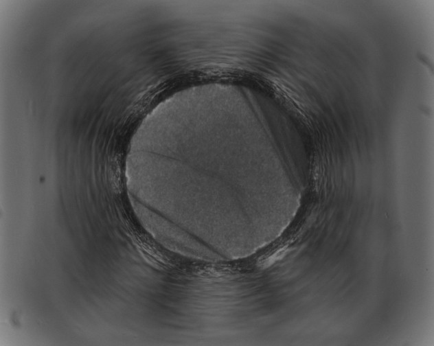 X0000097670868200803281010