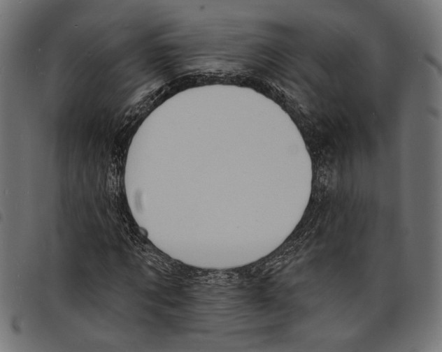 X0000097670869200803281010