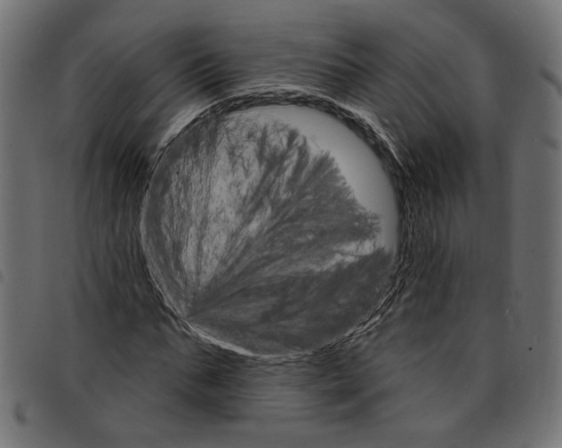 X0000097670871200803281010