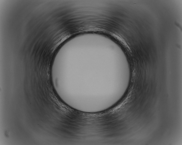 X0000097670873200803281010