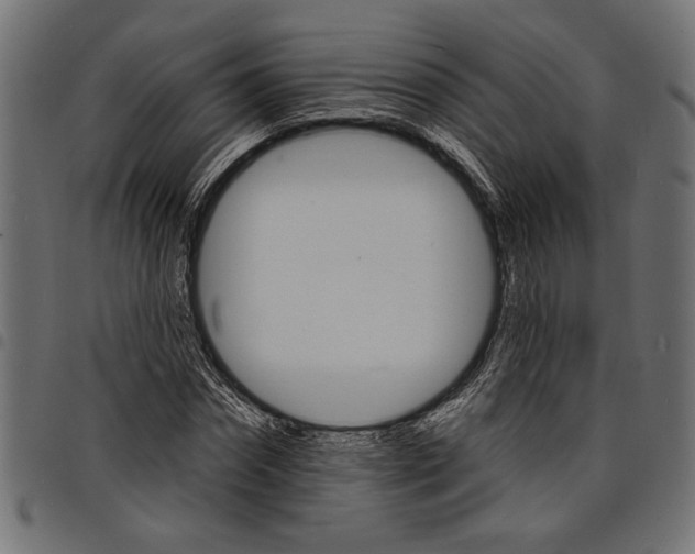 X0000097670874200803281010