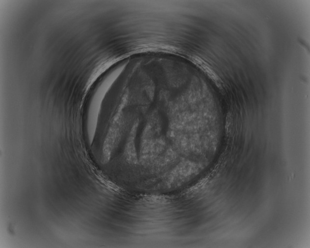 X0000097670877200803281010