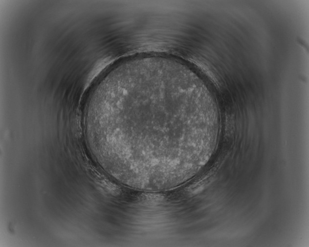 X0000097670878200803281010
