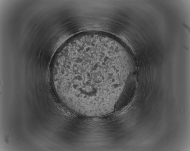 X0000097670879200803281010