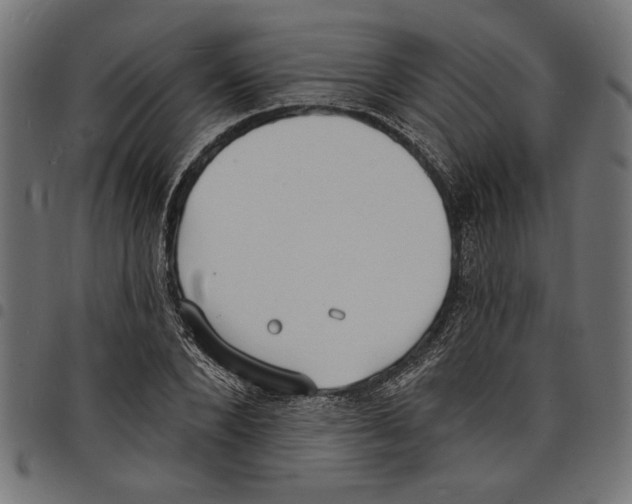 X0000097670880200803281010