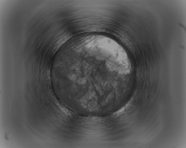 X0000097670881200803281010
